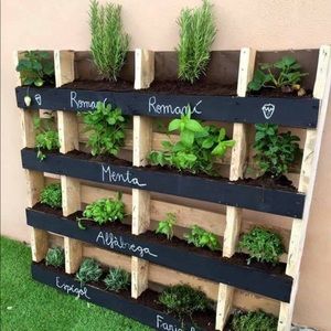 Meet your Posher, Denis